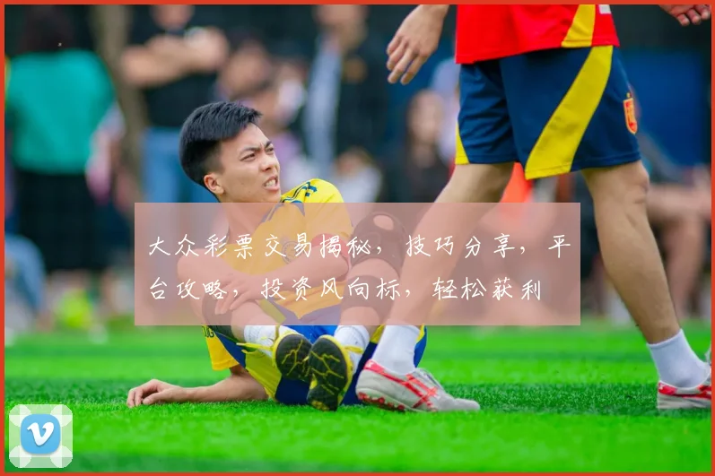 大众彩票交易揭秘，技巧分享，平台攻略，投资风向标，轻松获利